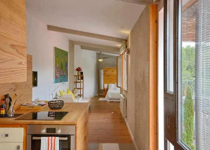 Sleep And Terrace Loft In Sant Daniel Girona