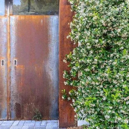 Sleep And Terrace Loft In Sant Daniel