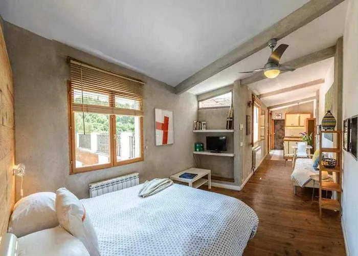 Sleep And Terrace Loft In Sant Daniel Lejlighed